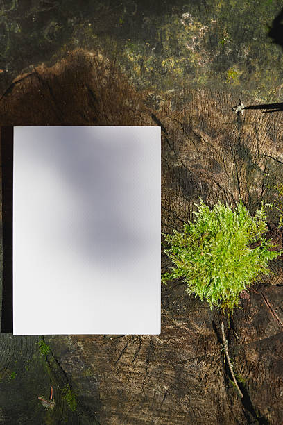 istock Blank canvas surrounded by nature on a wooden surface in daylight 2206952952