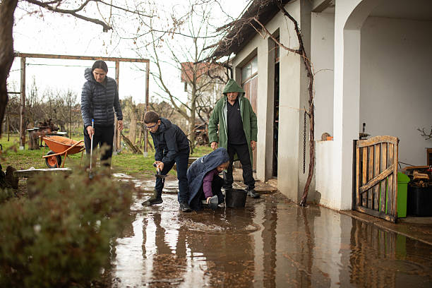 istock Family cleaning yard after heavy rain 2206956363