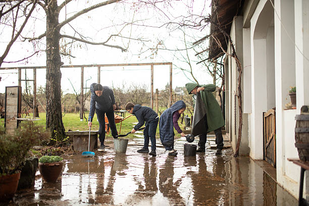 istock Family cleaning yard after heavy rain 2206956466