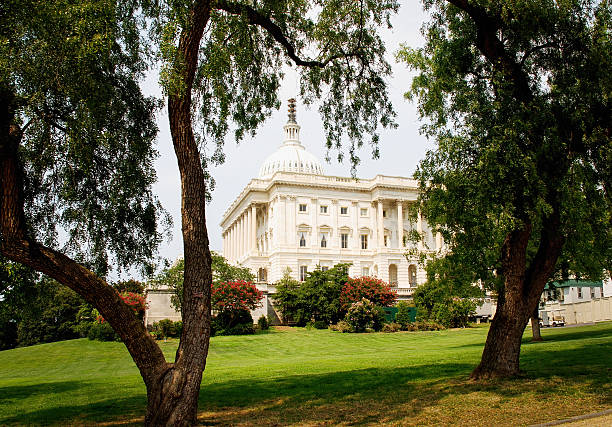 istock Capitol Hill is framed by green trees. Washington D.C. 2206958078