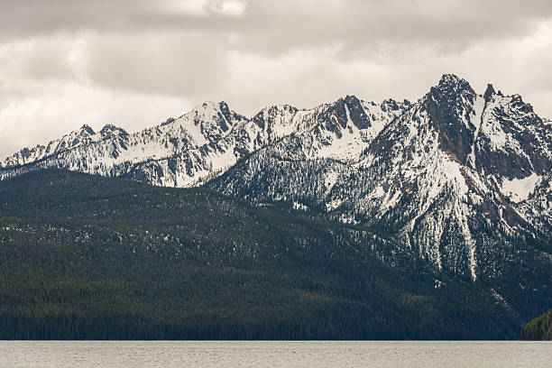 The Sawtooth Range sits in the distance in  a meadow, in the Sawtooth National Recreation Area of Stanley, Idaho. 