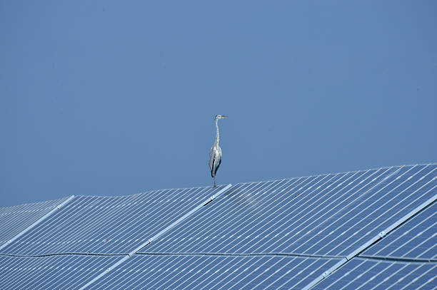 istock Solar panels green energy 2206960187