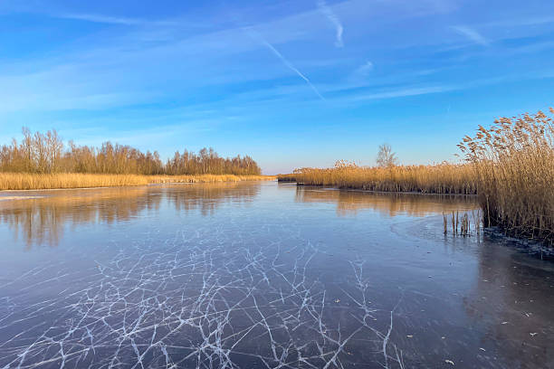 The edge of a frozen lake in the light of sunrise in winter, oostvaardersveld, almere, flevoland, netherlands, February 3, 2025