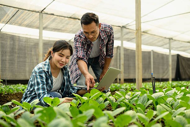 istock Two farmers inspecting crops and using laptop in a greenhouse 2206963797