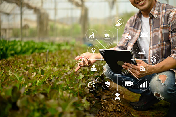 istock Farmer analyzing crop data on digital tablet in the greenhouse. IoT in farming and smart agriculture concept 2206963816