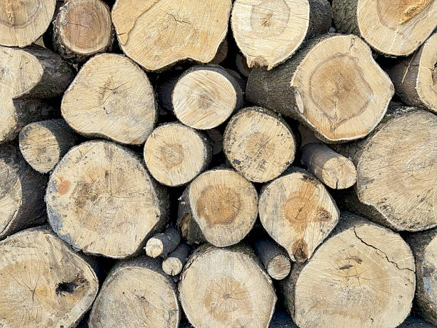 istock Background of stacked wooden logs 2206963858