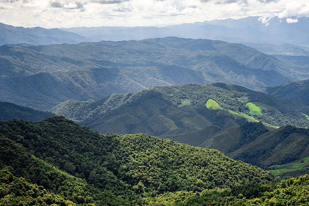 istock Lush green mountain range with forested hills. 2206964863