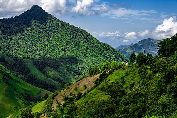 istock Lush Green Mountain Landscape 2206964877