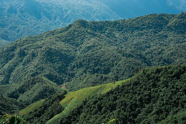 istock Lush Green Mountain Landscape 2206964919