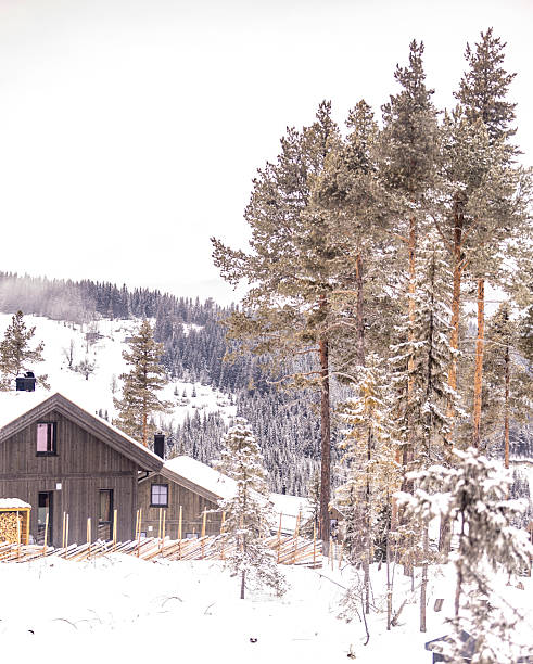 istock house in snowy forest 2206967362