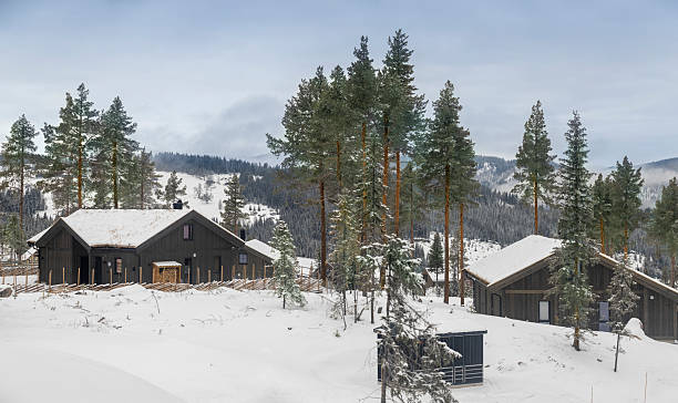 istock house in snowy forest 2206967364