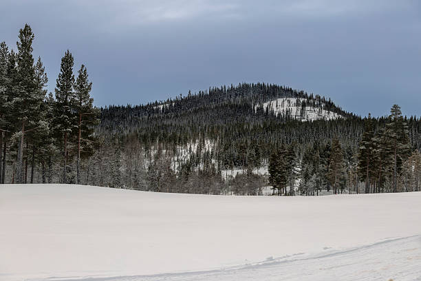 Empty ski slope in the middle of a forest in the mountains.