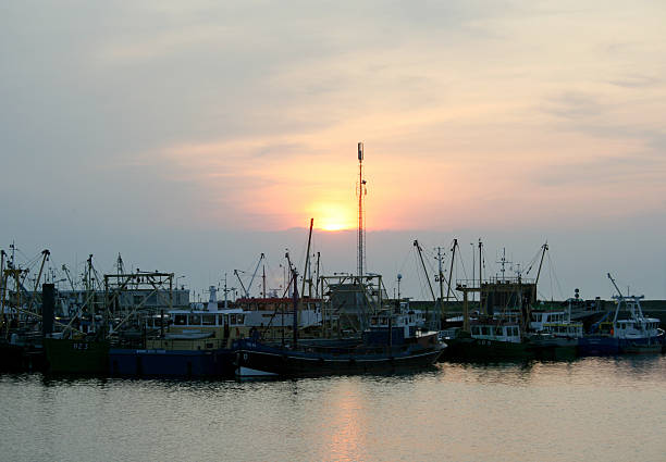Netherlands,Groningen,Lauwersoog,july 2017:Fishing boats mooring in the harbor of Lauwersoog