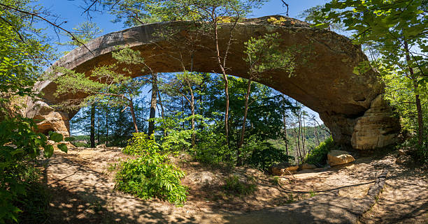 istock The Red River Gorge Geological Area in Kentucky 2206968773