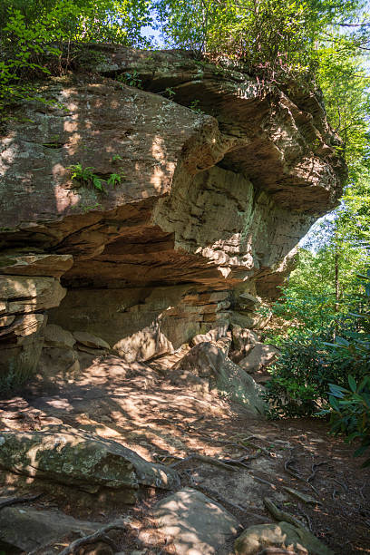 istock The Red River Gorge Geological Area in Kentucky 2206969054