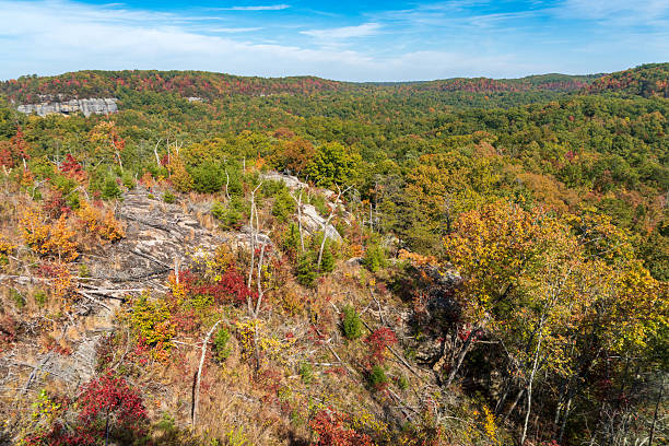 istock Fall Day at Natural Scenic Rock in Daniel Boone National Forest 2206969397