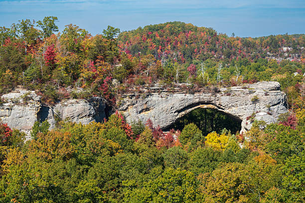 istock Fall Day at Natural Scenic Rock in Daniel Boone National Forest 2206969985