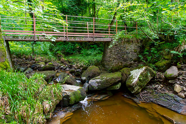 The River Allen at Plankey Mill, Northumberland.  This is a bridge near the Mill ruins.