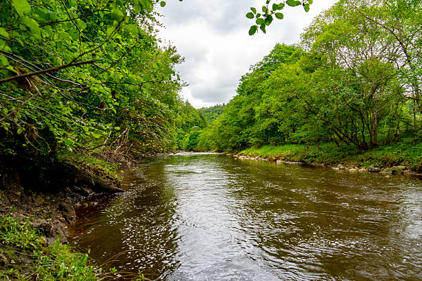 istock The River Allen at Plankey Mill, Northumberland. 2206970263