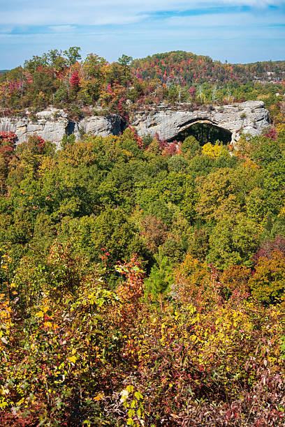 istock Fall Day at Natural Scenic Rock in Daniel Boone National Forest 2206971055