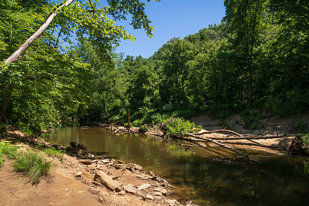 istock The Red River Gorge Geological Area in Kentucky 2206971435