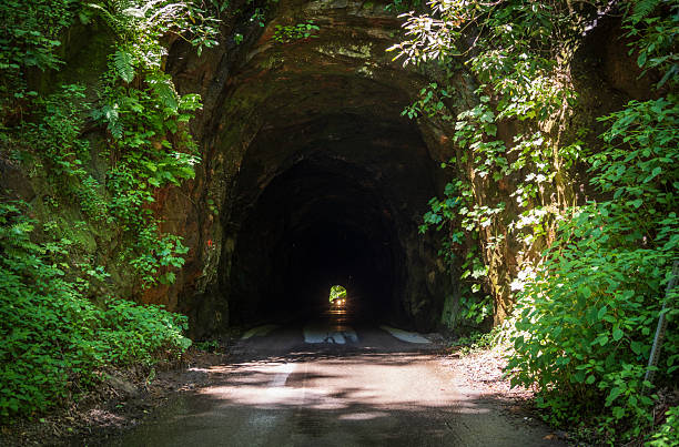 istock The Red River Gorge Geological Area in Kentucky 2206971442