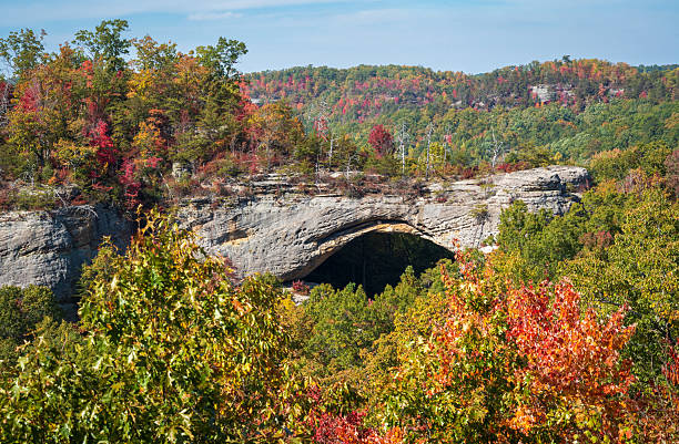 istock Fall Day at Natural Scenic Rock in Daniel Boone National Forest 2206971460