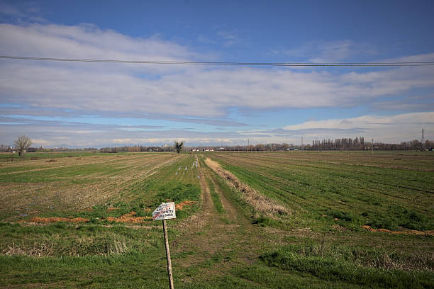 istock Trail in a cultivated field 2206971843