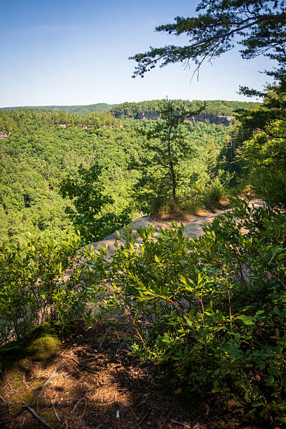 istock The Red River Gorge Geological Area in Kentucky 2206971902