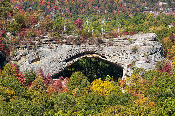 istock Fall Day at Natural Scenic Rock in Daniel Boone National Forest 2206971938