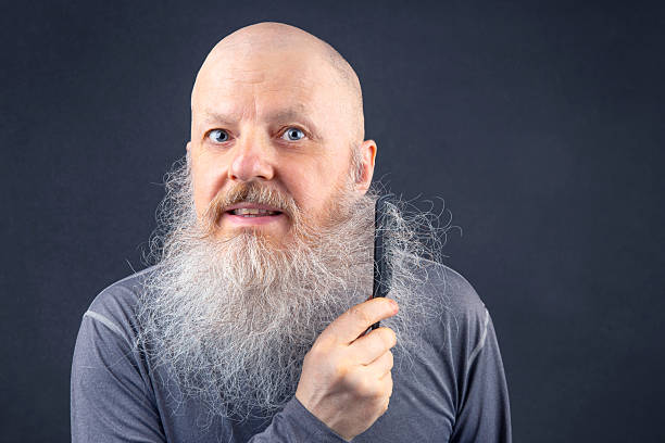 istock portrait of a bald man combing his large gray beard on a gray background. 2206972573