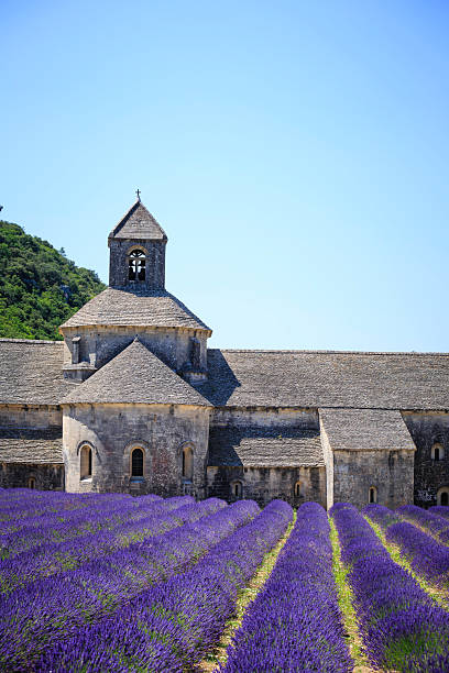 istock Lavender fields bloom around an ancient abbey in Provence during a clear summer day 2206974738
