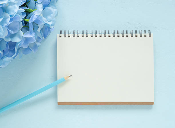 Top view blank page of notebook and pencil with blue hydrangea on blue wooden background. Space for your text.