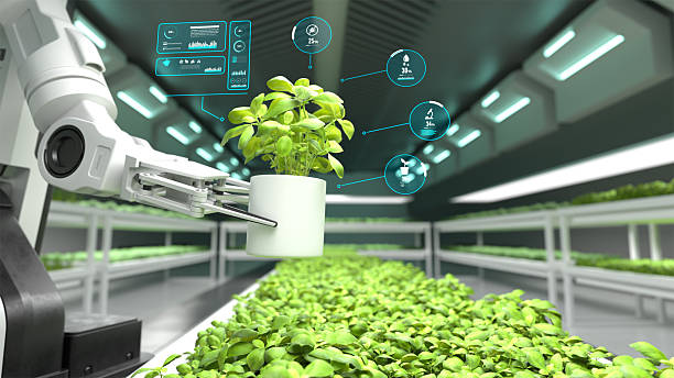 istock Robotic arm lifting vegetable pot with digital display, Automated farming. 2206975696