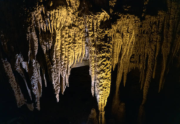 Mammoth Cave National Park in Kentucky