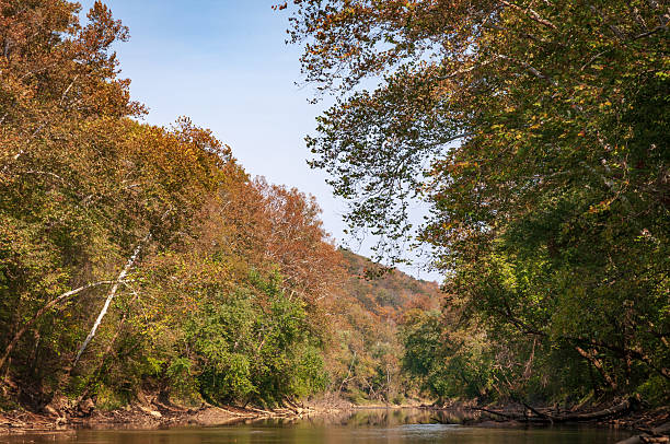istock Green River at Mammoth Cave National Park 2206977816