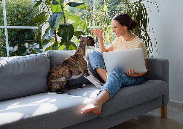 istock Playing with whippet puppy. Young woman having fun with dog while working remotely 2206981275