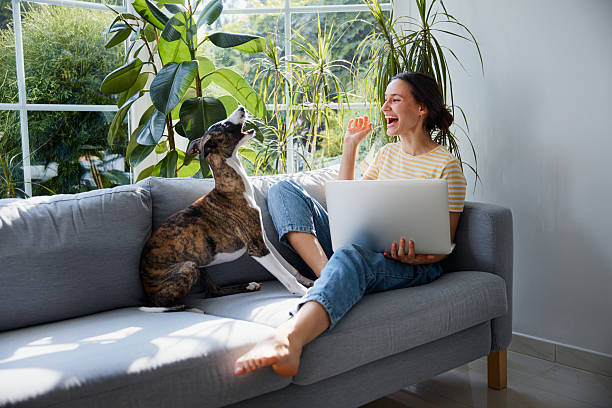 istock Woman having fun with her whippet puppy while working from home 2206981301