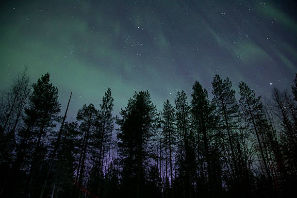istock Nothern light in Rovaniemi 2206983881