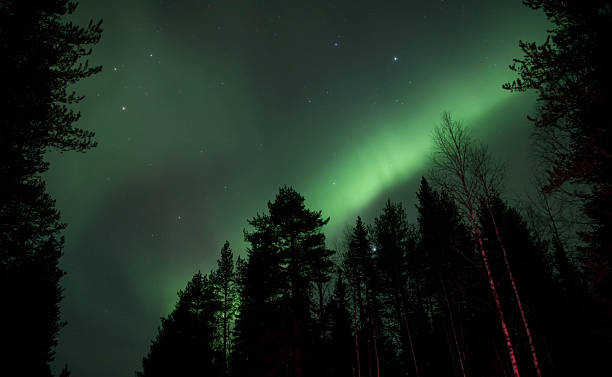 istock Nothern light in Rovaniemi 2206983922