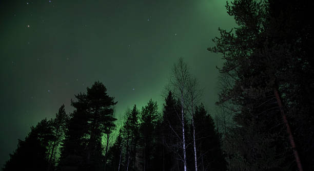 istock Nothern light in Rovaniemi 2206983951