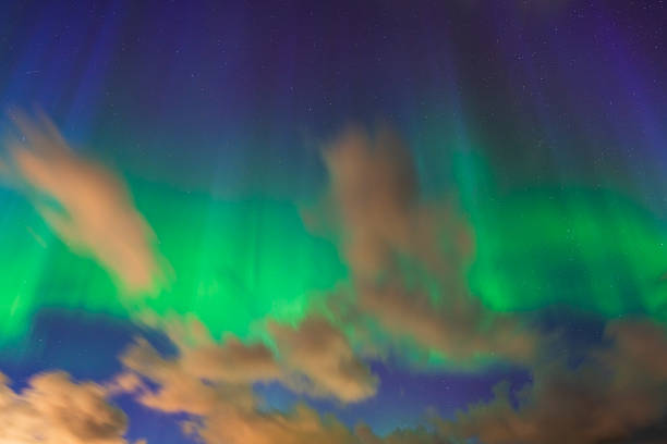 istock Northern Lights dance above clouds under a starry night sky, a breathtaking natural spectacle. 2206987741