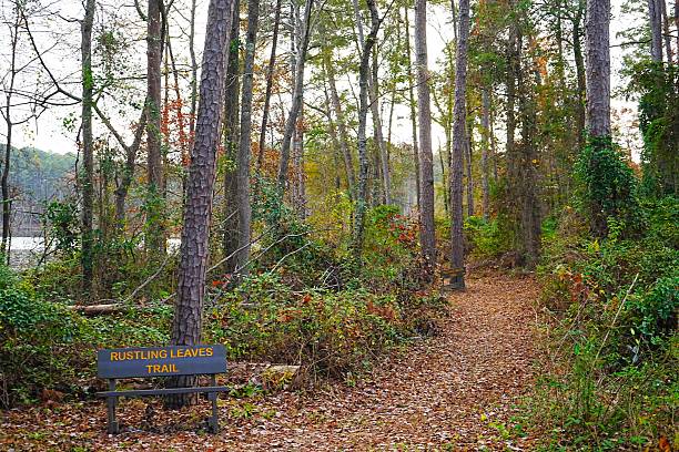 istock Rustling Leaves trail circles the lake.  Daingerfield STate Park Texas 2206987889