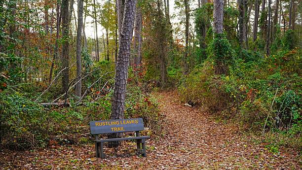 istock Rustling Leaves trail circles the lake.  Daingerfield STate Park Texas 2206987890