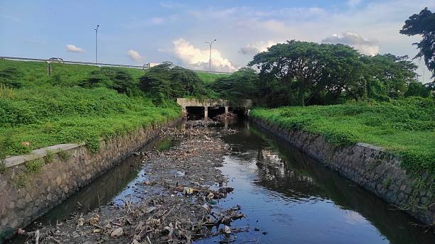 istock A polluted river with accumulated sludge and trash flows beneath a concrete culvert, surrounded by lush green vegetation and trees, with a highway overpass in the background. 2206988167