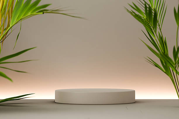 istock Neutral soft elegant podium scene for product display 2206988881