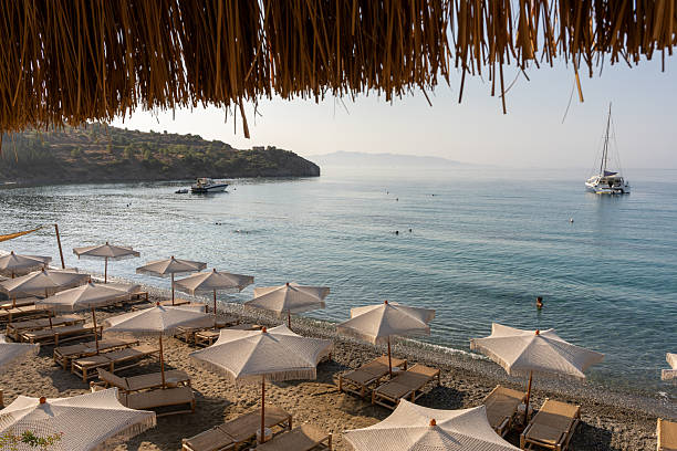 istock Sun beds and beach parasols on the beach. 2206989139