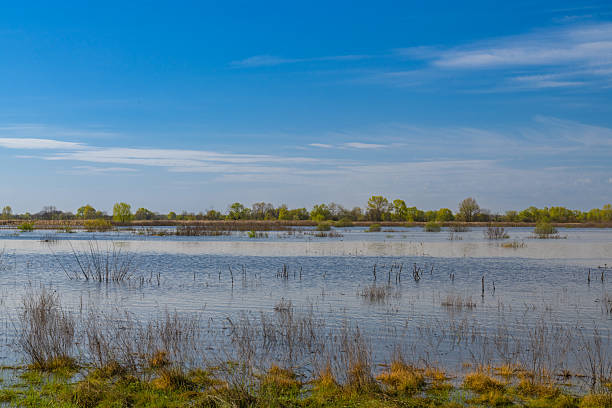 Free picture: marshlands, panorama, spring time, swamp, water, wetland ...