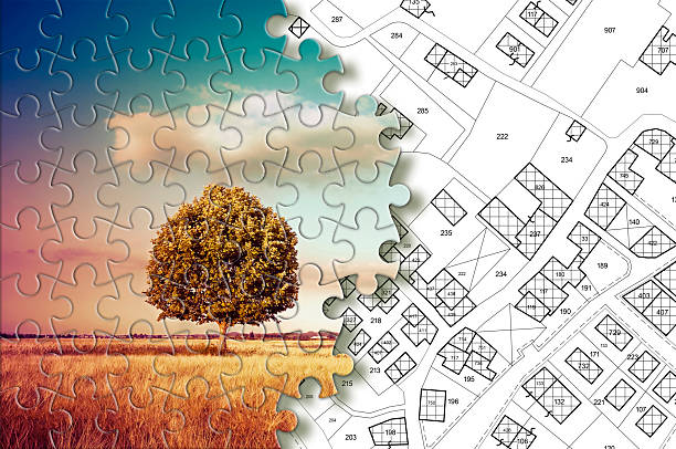 istock Cadastral map with lone tree on a rural scene - concept in jigsaw puzzle shape 2206996469