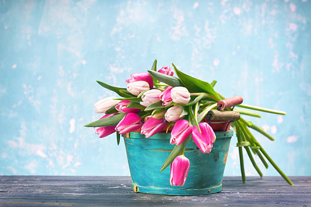 pink tulips on a white vintage wooden background in watercolors